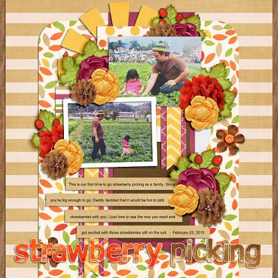 Strawberry Picking