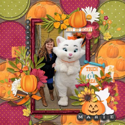 Bingo Nov20: 'Meeting Marie'
