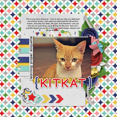 Kitkat