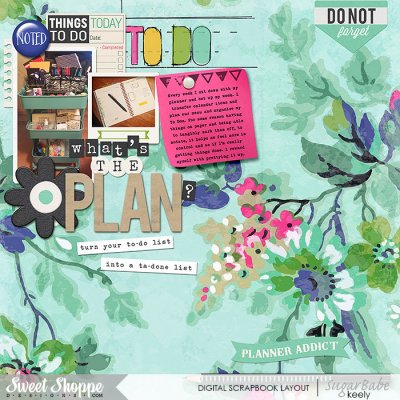 The Plan