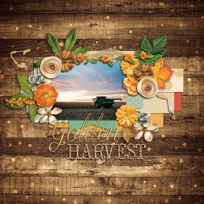 Golden Harvest