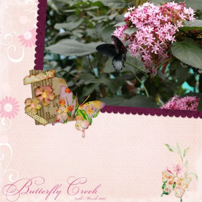 Butterfly Creek