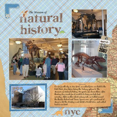The Museum of Natural History