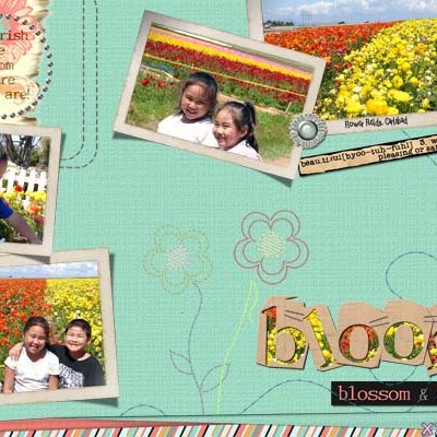 Bloom