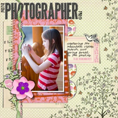 Mini Photographer