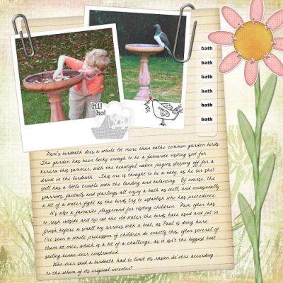 Pam's Birdbath