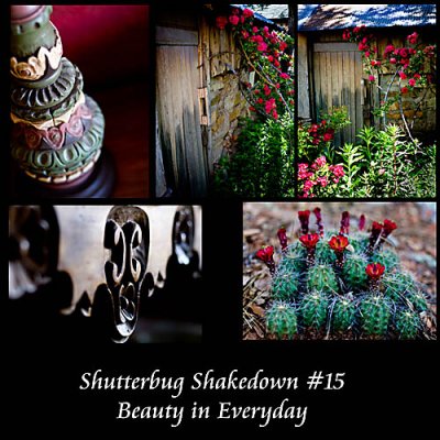 Beauty in Everyday