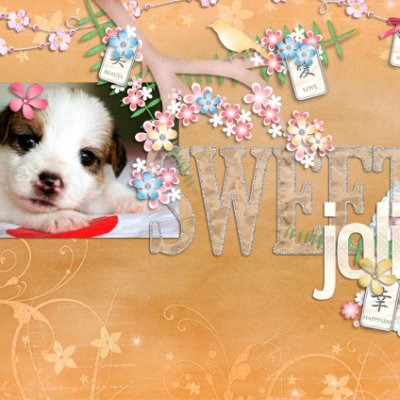 Sweet Jolie