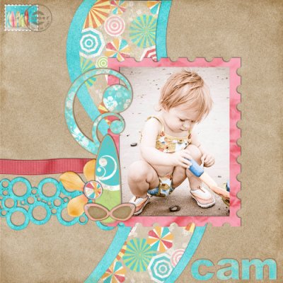 Cam