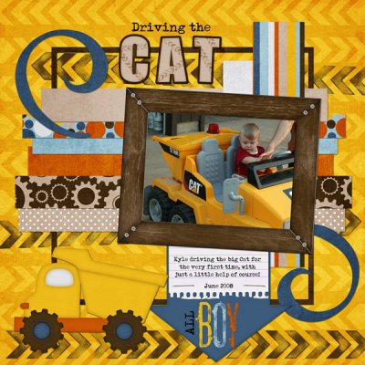 Driving the Cat