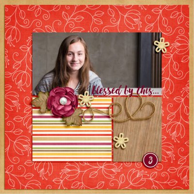 2015 Gratitude Day 3