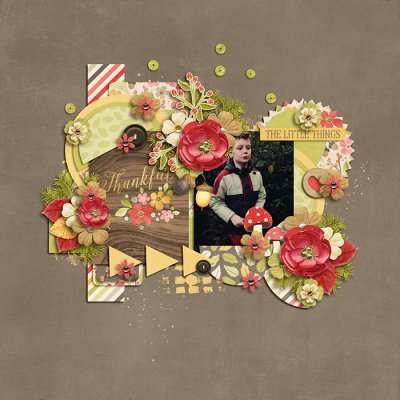 thanxfull-small