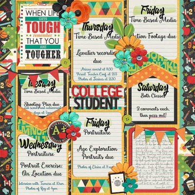 wc_Nov_collegestudent2015