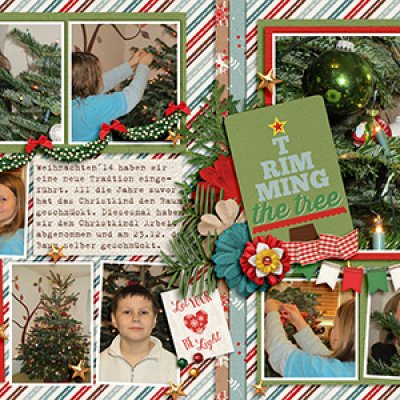Triming the tree