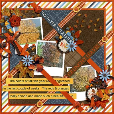 Colors of Fall