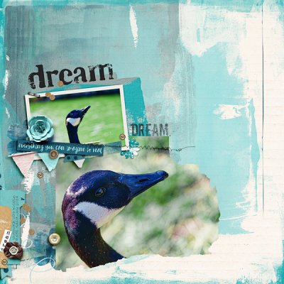 dream-6002