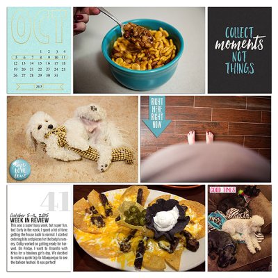 Project 2015: Week 41