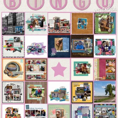 Nov Bingo