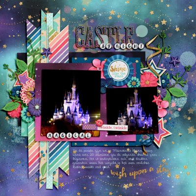 Castle by night