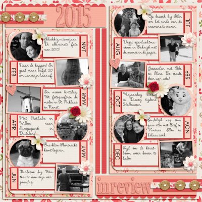 2015 in review