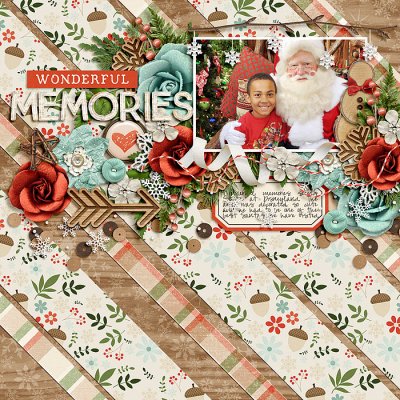Wonderful Memories