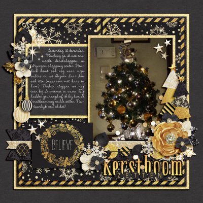 Kerstboom zetten
