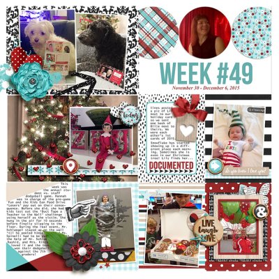 2015 Wk 49 L