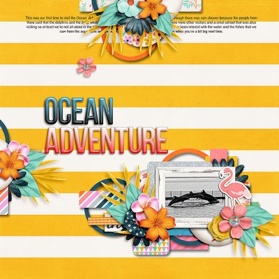 Ocean Adventure