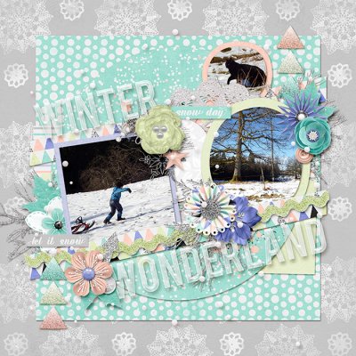 winter wonderland