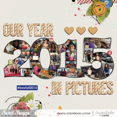 Our Year in Pictures 2015