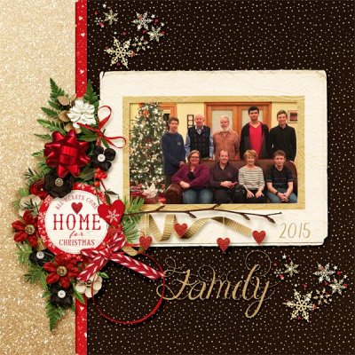 Home for the Holidays