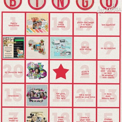 Bingo Tracker Dec 2015