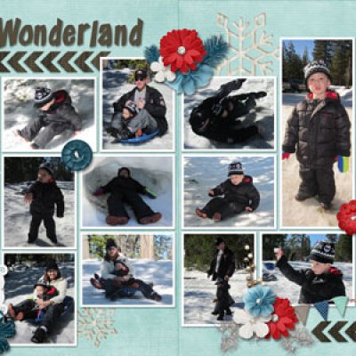 winter wonderland dman 2013