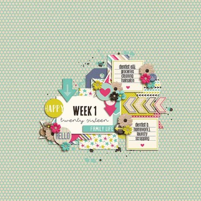Week 01 - 2016