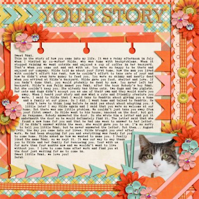 Your Story