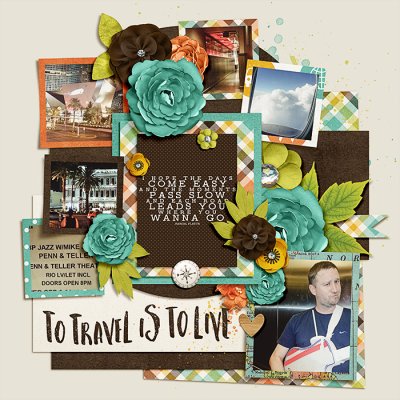 traveller