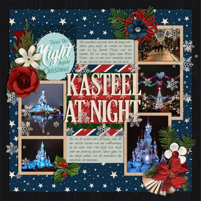 Kasteel At Night