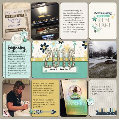 Project 2016 week 1