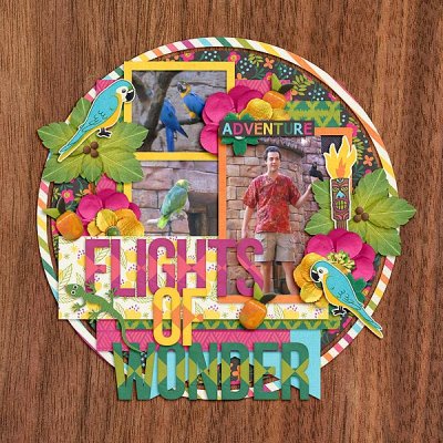 Flights of Wonder