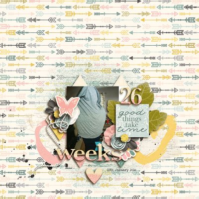 26 Weeks