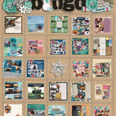 JAN 2016 BINGO!!!
