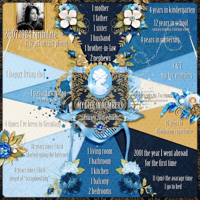 Bingo Jan 2016 - Life in numbers