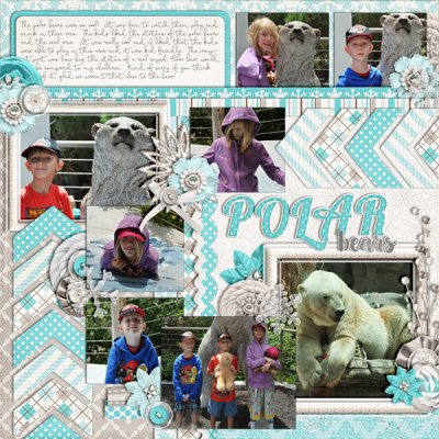 wc_polarbears2013