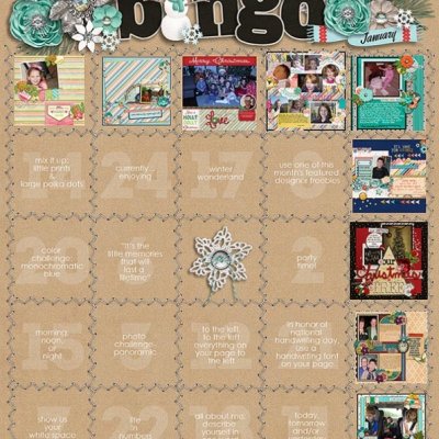 Debbie's January Bingo