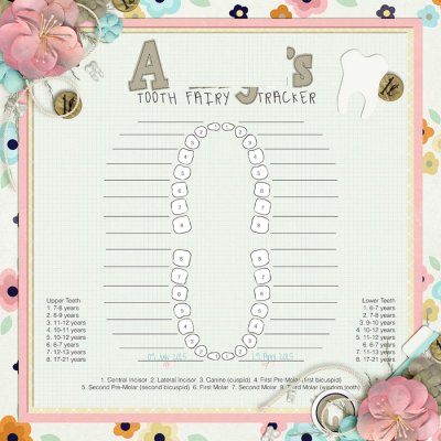 Tooth Chart