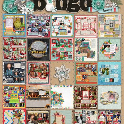 wc_January2016_challenges