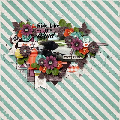 Ride Like the Wind