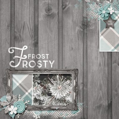 Frosty Frost