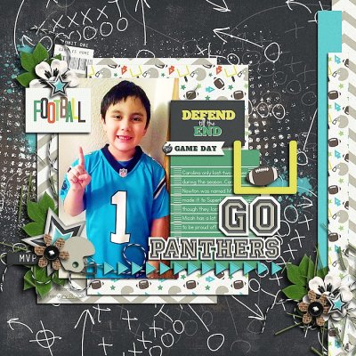 go panthers