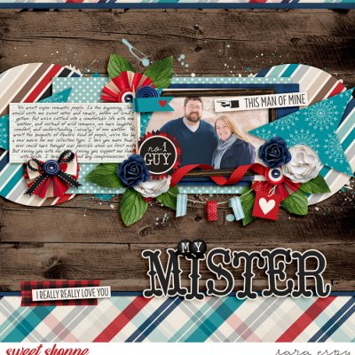 my-mister-wm